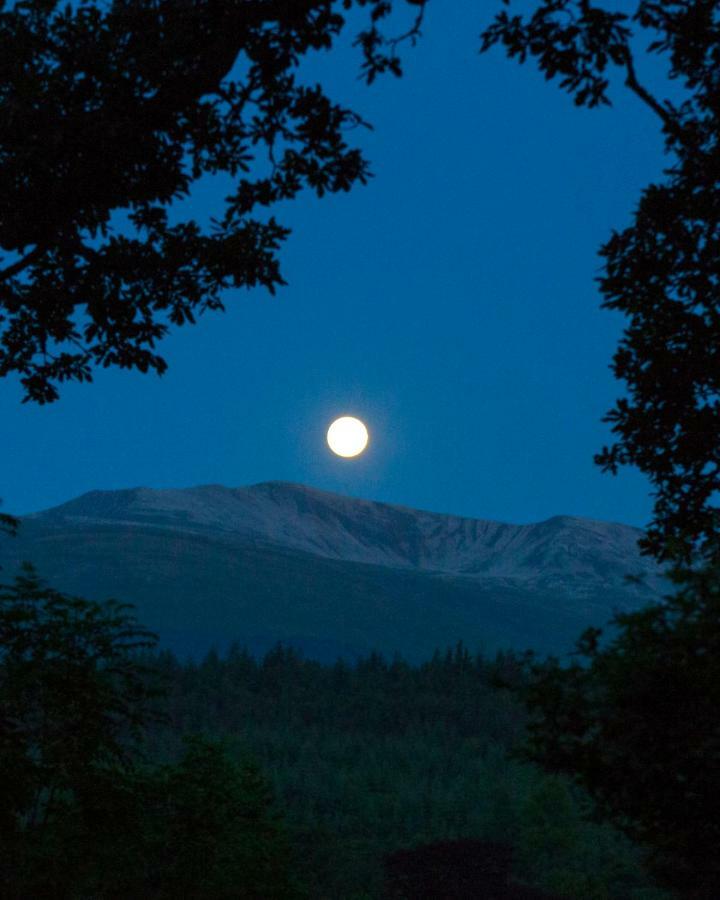 Room With A View Spean Bridge Εξωτερικό φωτογραφία
